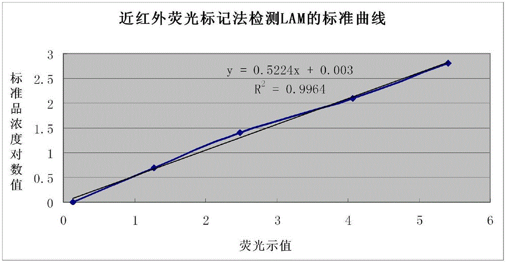 Mycobacterium tuberculosis LAM (lipoarabinomannan) detection kit, preparation and use method thereof