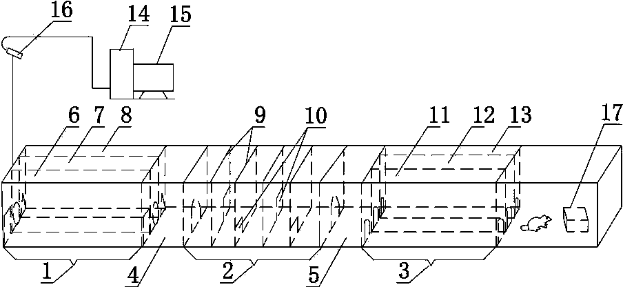 Automatic assessment system for visual cognition behavior function of rodent