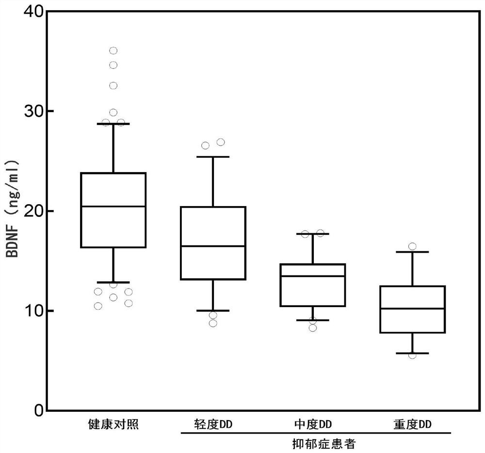 Brain-derived neurotrophic factor determination kit, application thereof and brain-derived neurotrophic factor specific antibody