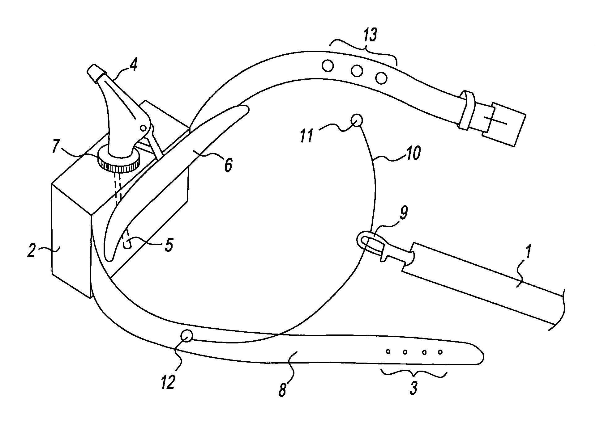 Animal training device