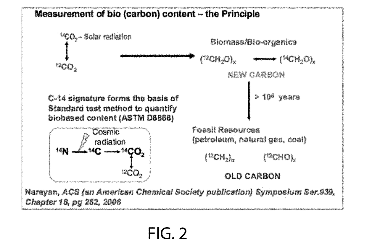 Bio-based and hydrophilic polyurethane prepolymer and foam made therefrom