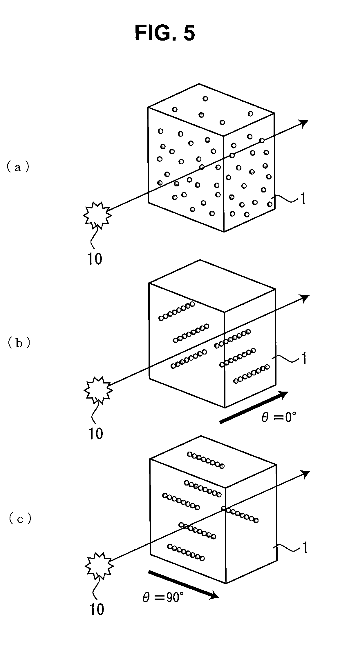 Biosensor Using Magnetic Microparticles