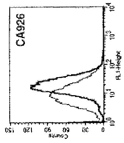 Alpha-enolase specific antibodies and methods of uses in cancer therapy