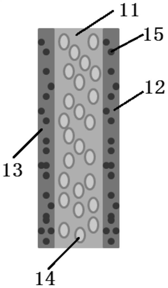 A kind of composite solid electrolyte membrane and its preparation method and use