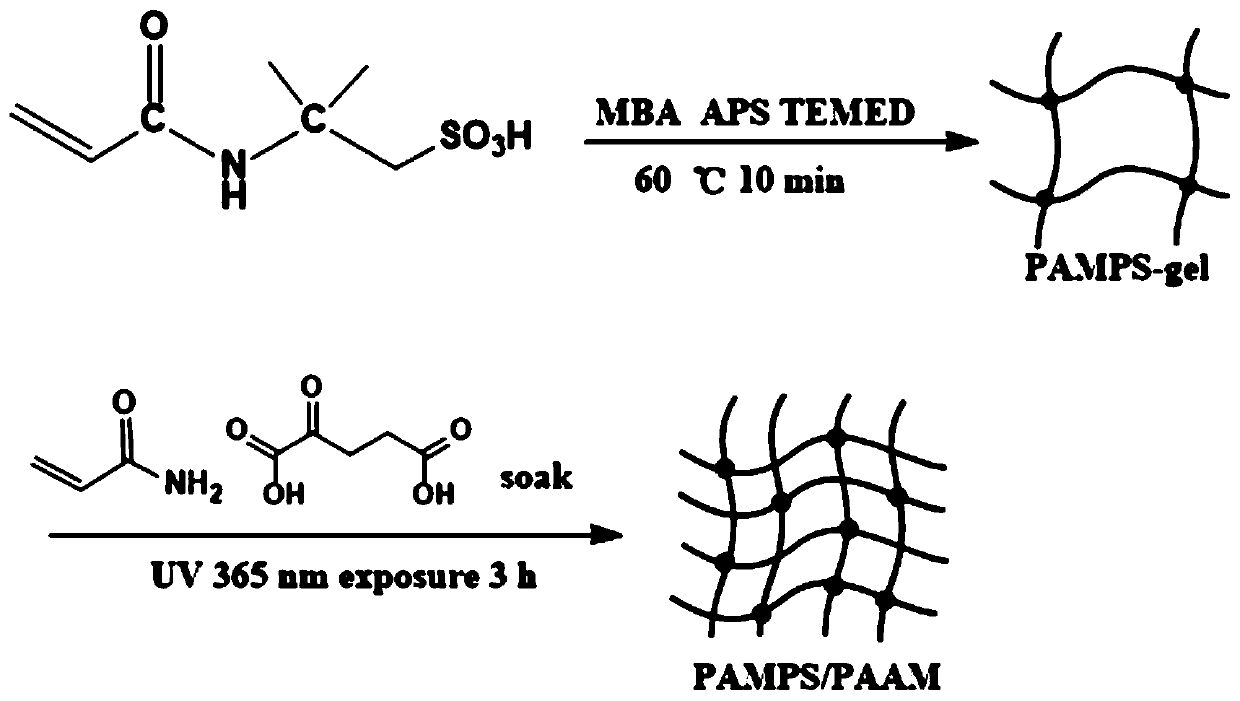 A high-strength and low-temperature resistant organic hydrogel and preparation method thereof