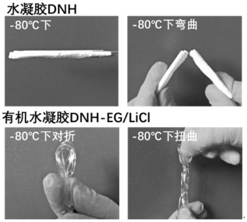 A high-strength and low-temperature resistant organic hydrogel and preparation method thereof