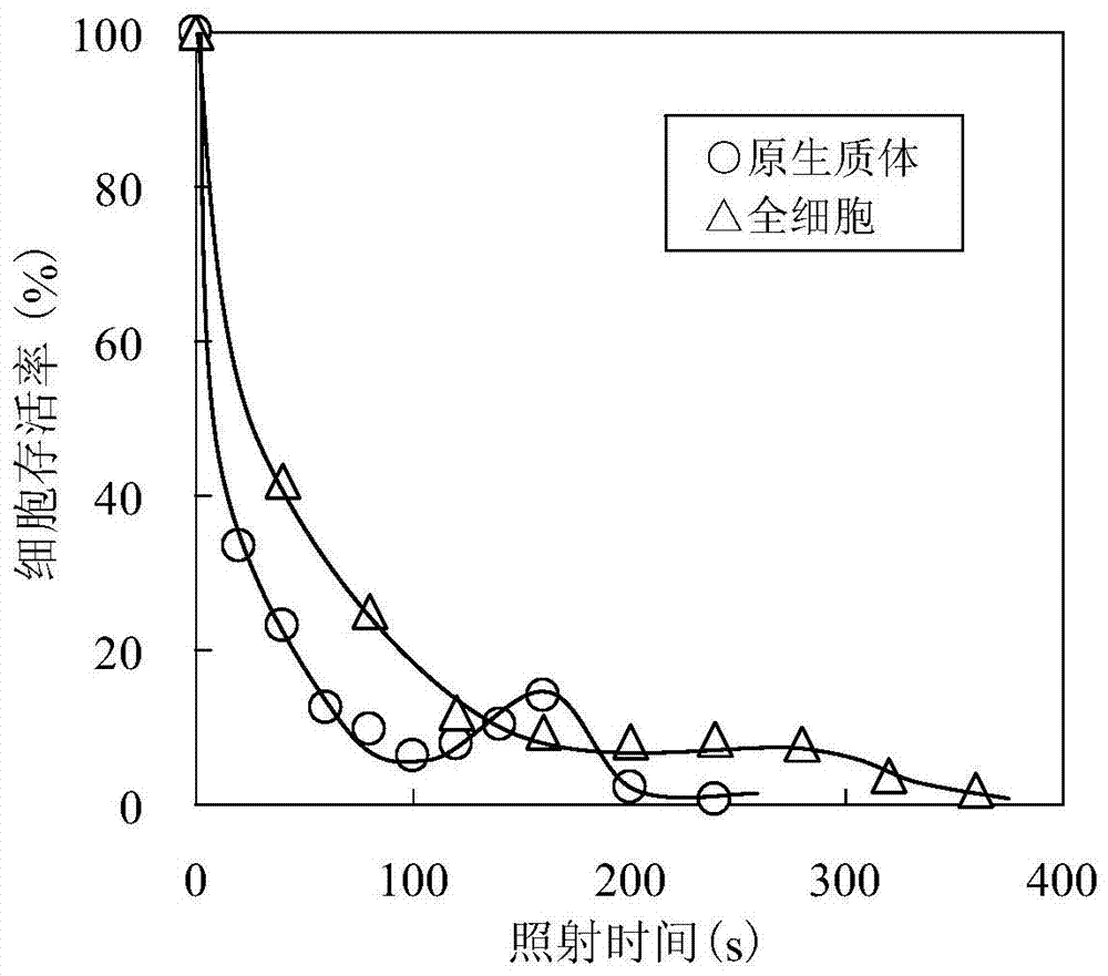 A strain of lignin-tolerant Saccharomyces cerevisiae and its application in bioethanol production