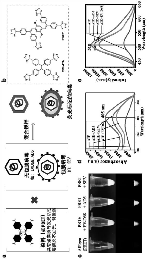 Fluorescent dye for labeling virus, preparation method and application