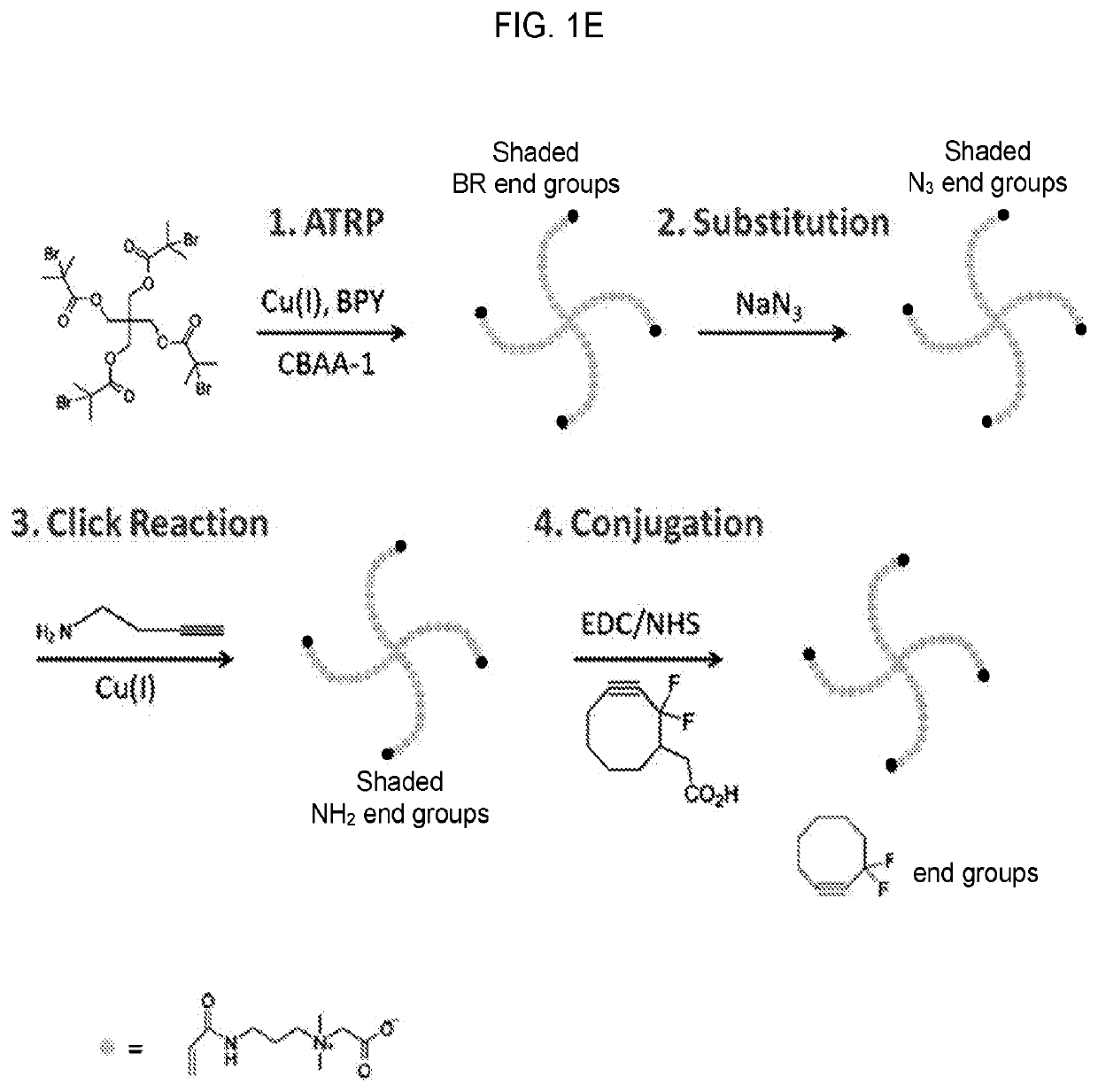 Systems and methods for hematopoietic cell expansion utilizing hydrogels