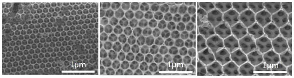 Microfluidic chip for capturing and/or counting cells as well as preparation method and application of microfluidic chip