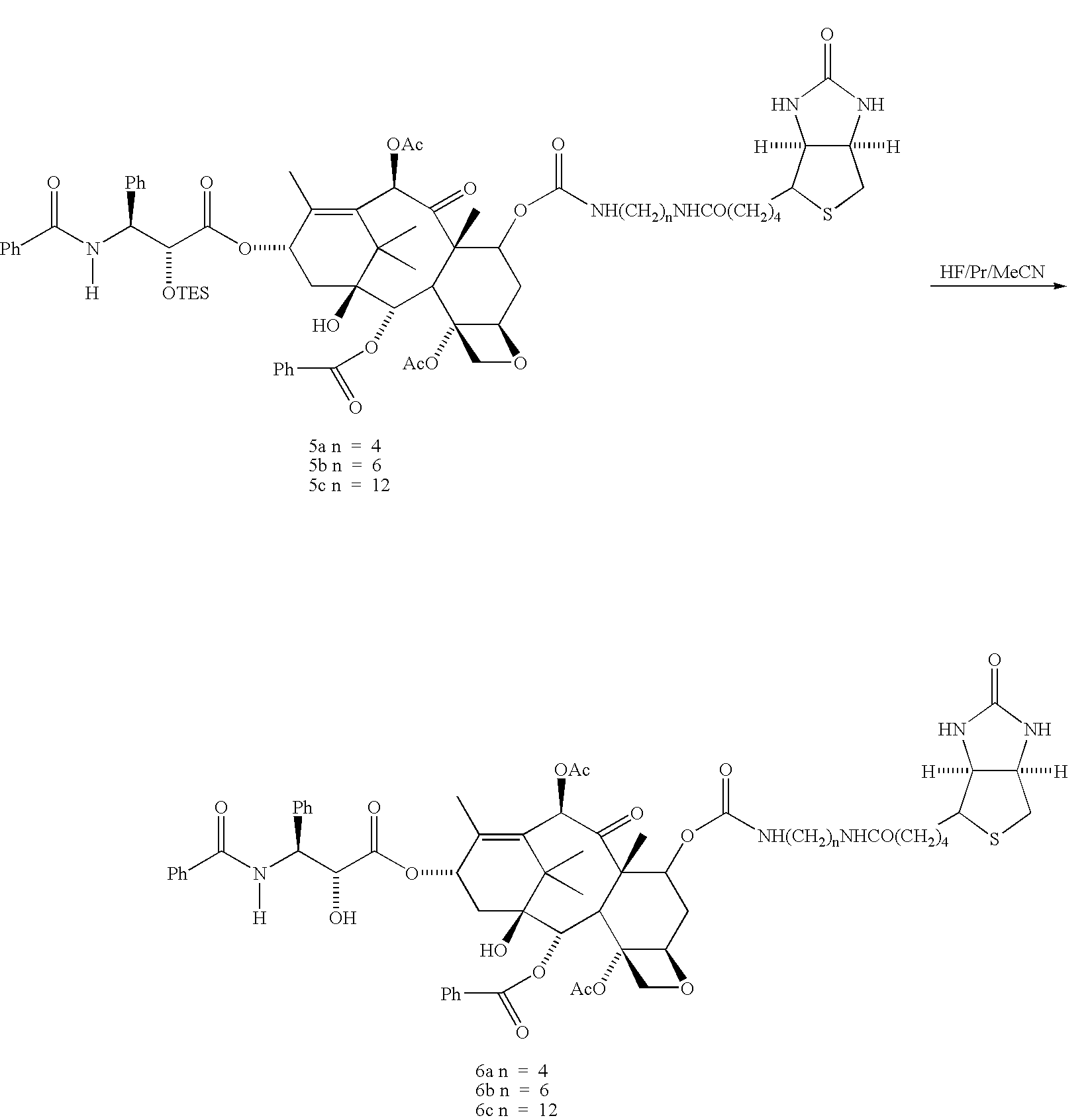 Identification of molecular targets