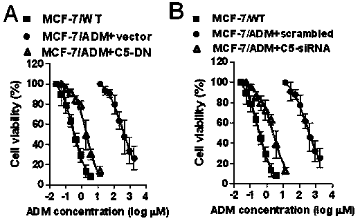 Application of TRPC5 as drug target in reversing multi-drug resistance