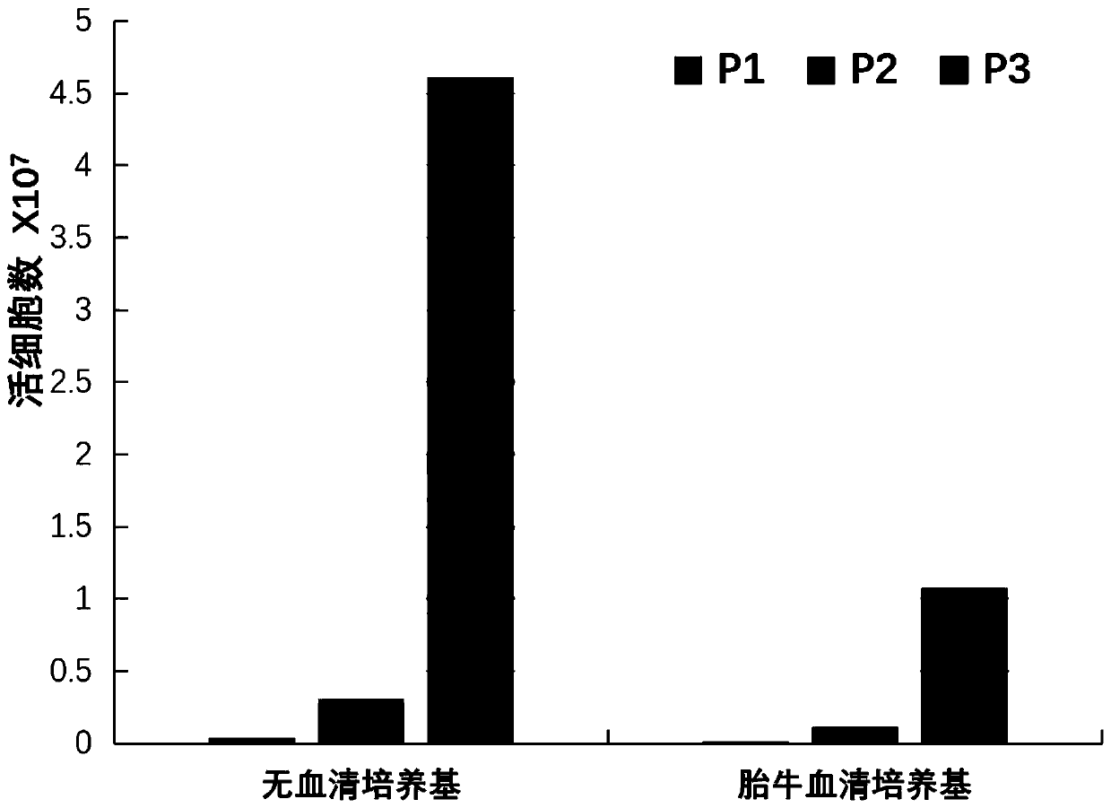 Serum-free culture medium for mesenchymal stem cells and application thereof