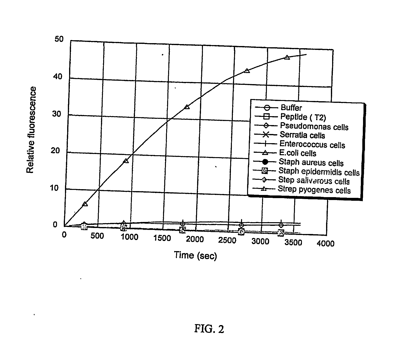 Method for detecting escherichia coli