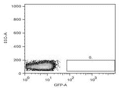 Mouse-tail DNA (deoxyribose nucleic acid) extraction kit applicable to the genotype of laboratory mouse and application thereof