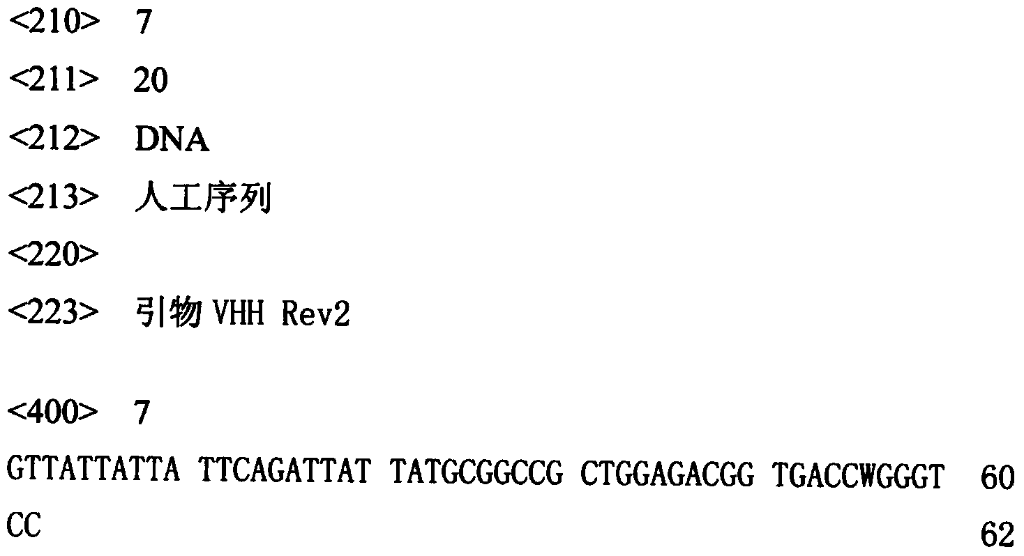 Canine parvovirus single-domain antibody, and preparation method and application thereof