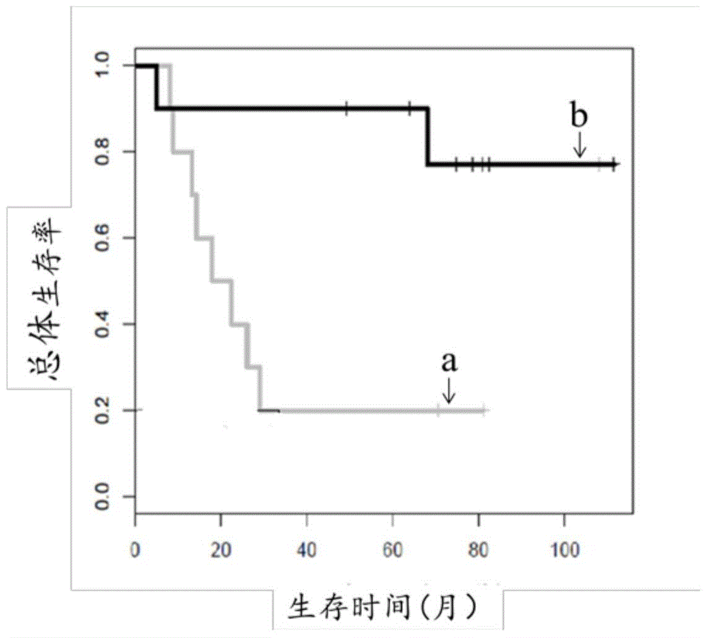 Cancer chemosensitivity prediction technique based on molecular subnet and random forest classifier