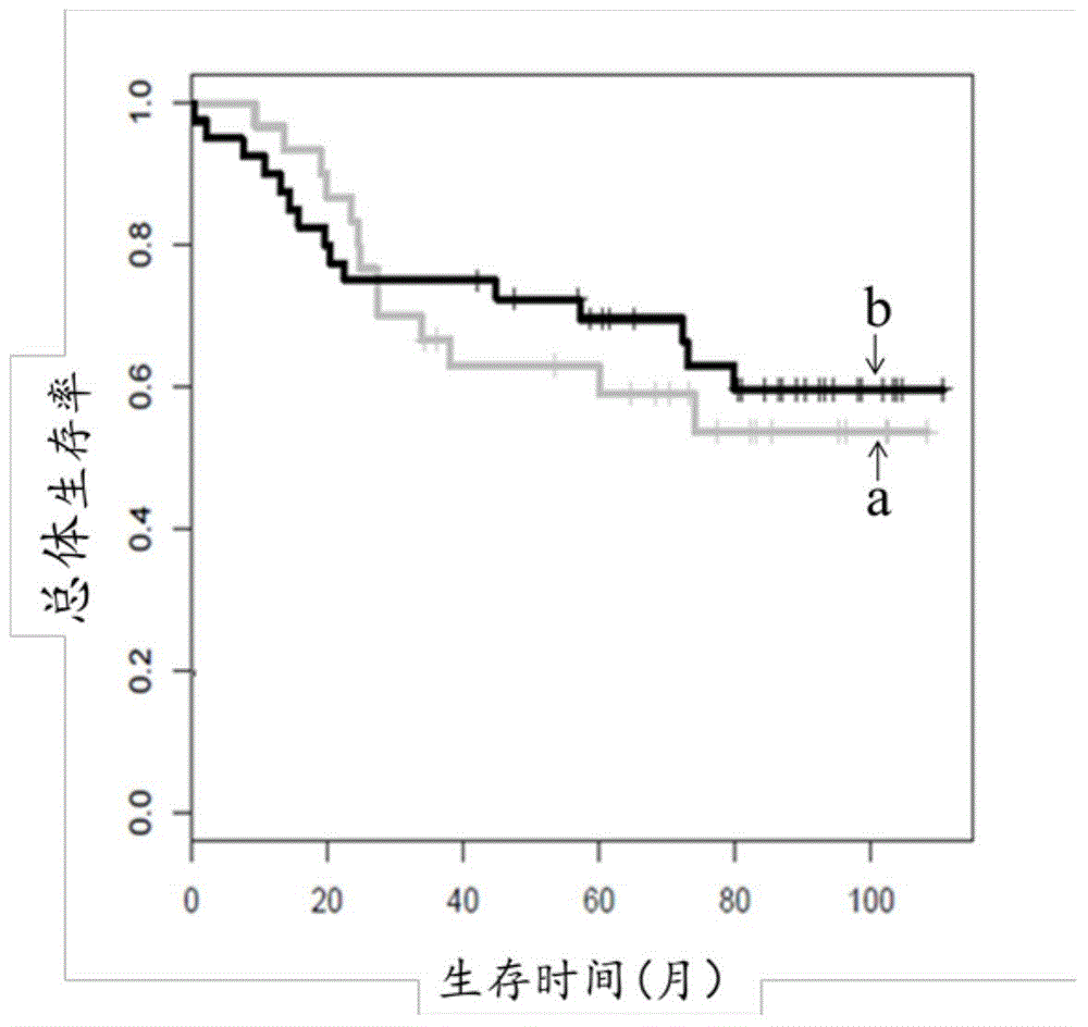 Cancer chemosensitivity prediction technique based on molecular subnet and random forest classifier