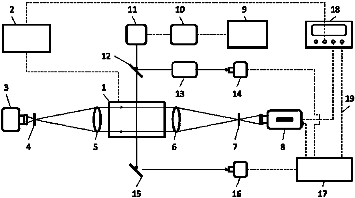 Device and method for measuring flame form and temperature synchronously