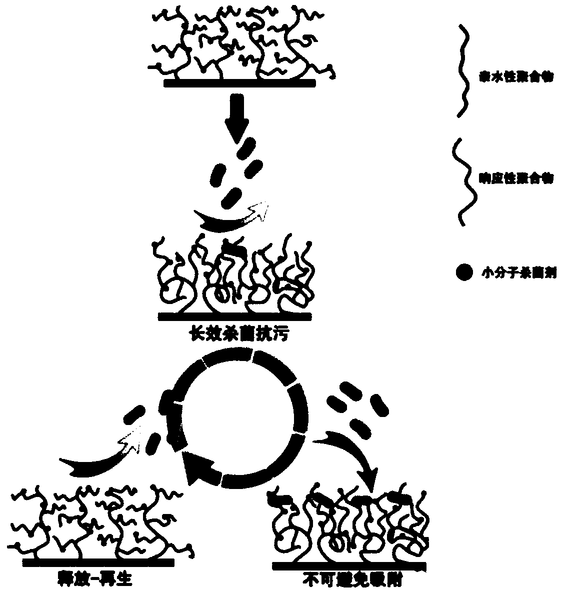 Preparation method of antimicrobial polymer brush with triple functions of anti-fouling, sterilization and release