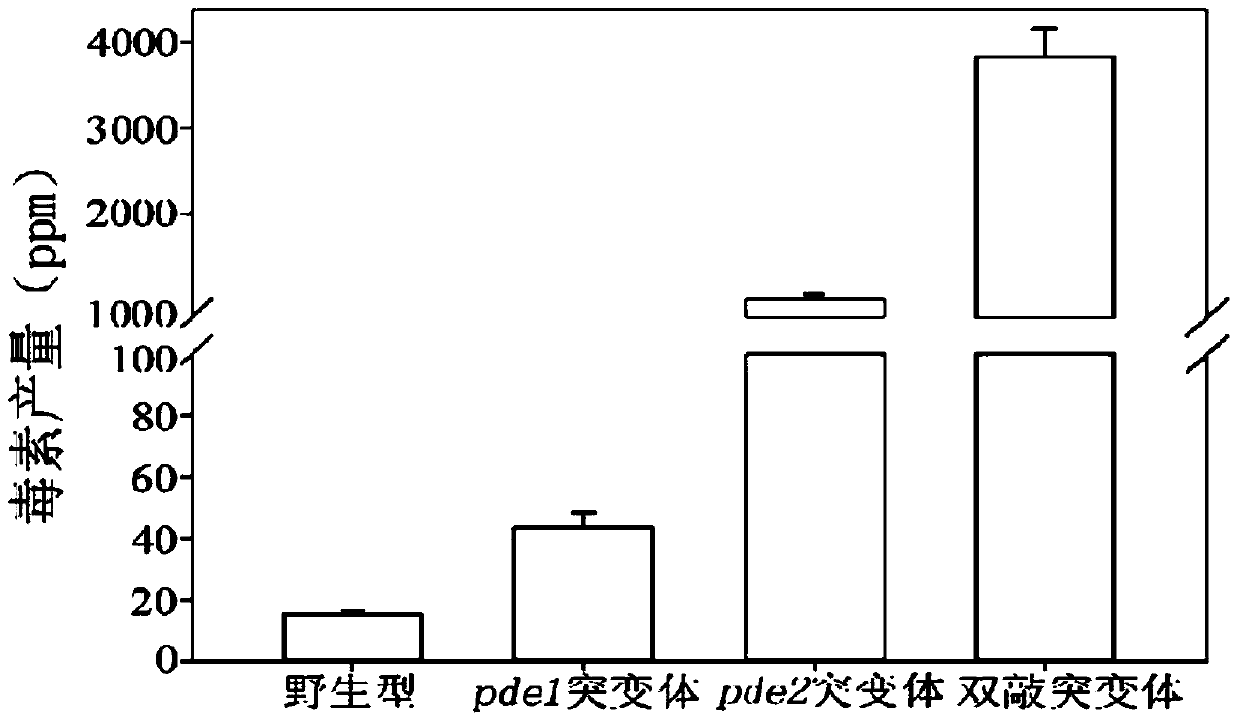 A method for constructing a high-yield deoxynivalenol knockout mutant strain