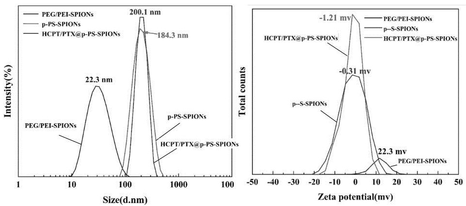 Folate receptor-mediated paclitaxel-hydroxycamptothecin superparamagnetic iron oxide nanoparticle as well as preparation method and application thereof