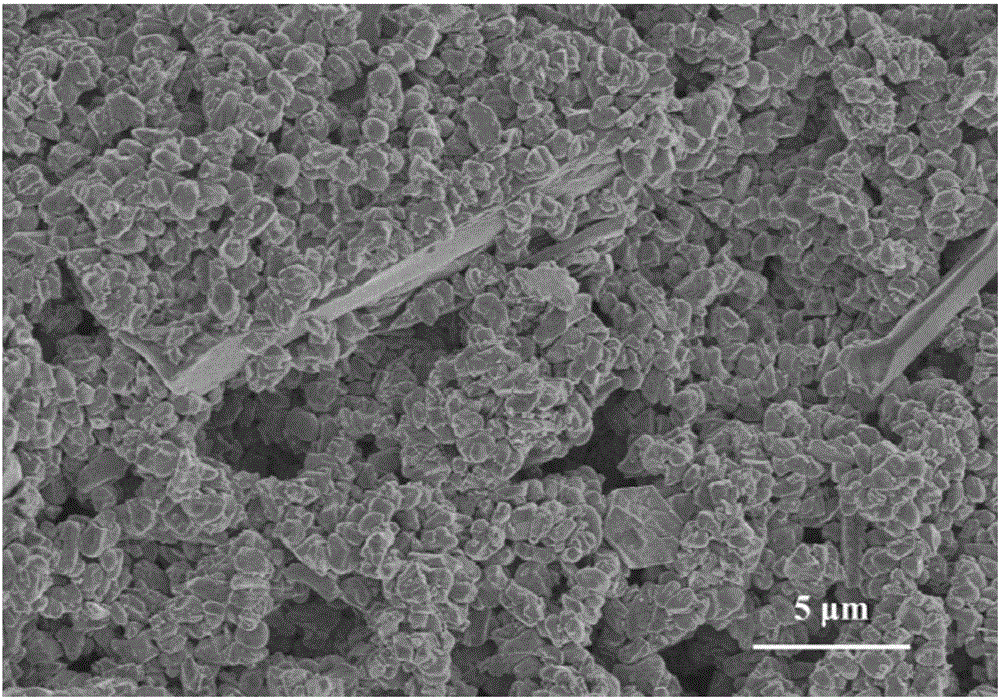 Wave absorbing material of Z-shaped ferrite flaky powder filled particulate powder and preparation method thereof