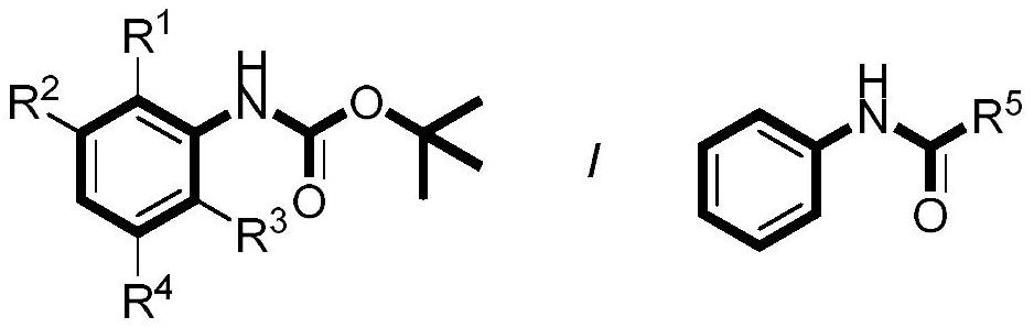 Preparation method of aniline para-trifluoromethylated derivative