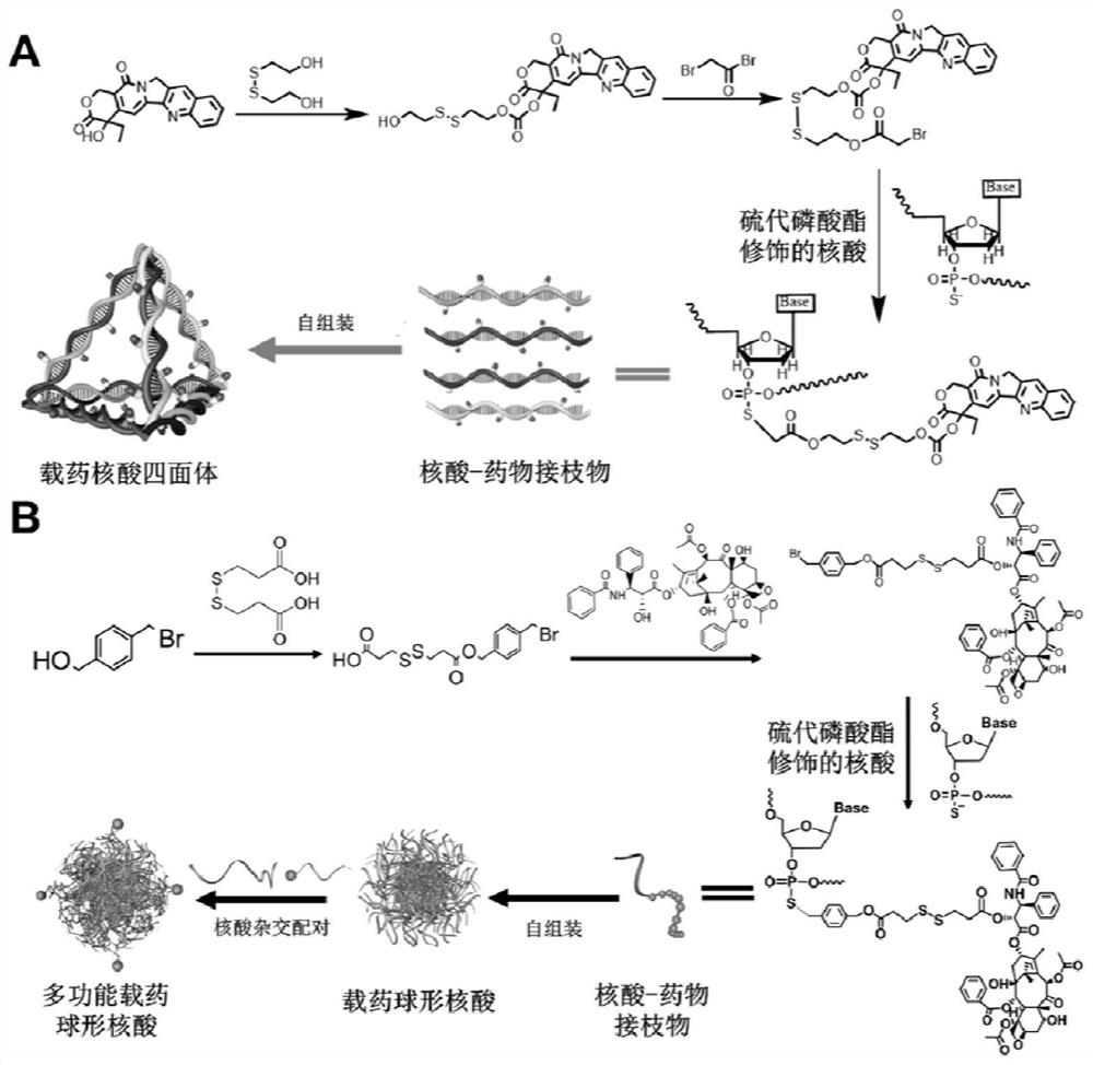 Nucleic acid-drug conjugate, drug delivery system, preparation method and application thereof