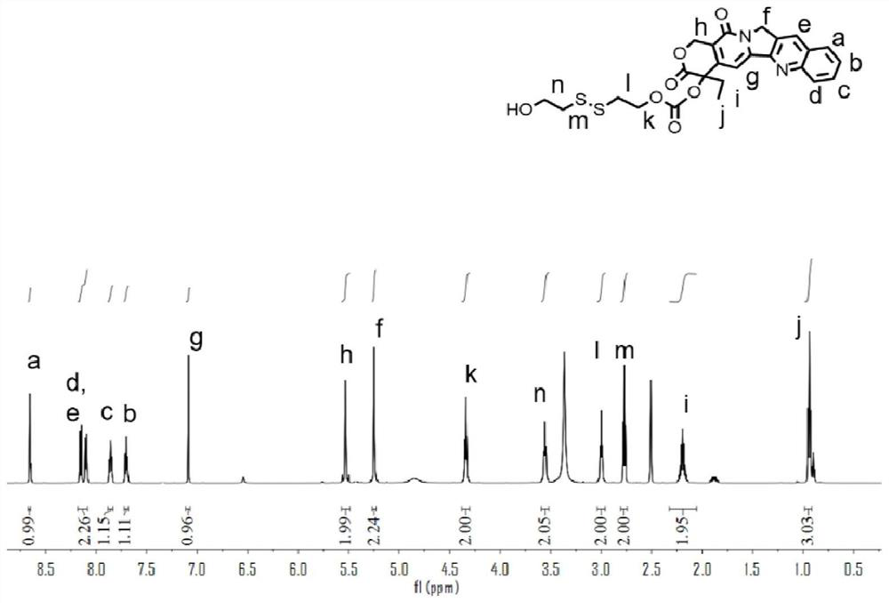 Nucleic acid-drug conjugate, drug delivery system, preparation method and application thereof