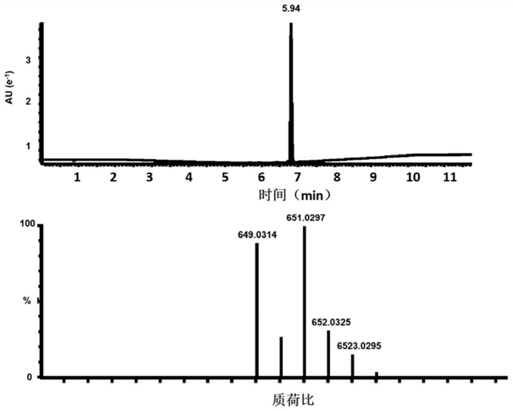 Nucleic acid-drug conjugate, drug delivery system, preparation method and application thereof