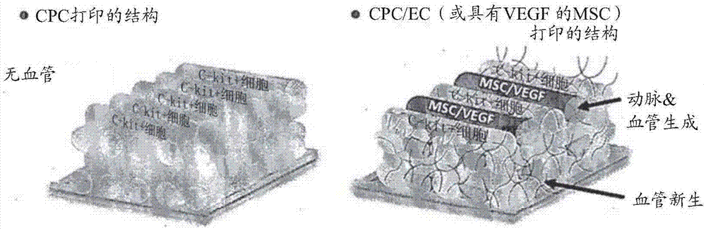 Three-dimensional structure for cardiac muscular tissue regeneration and manufacturing method therefor