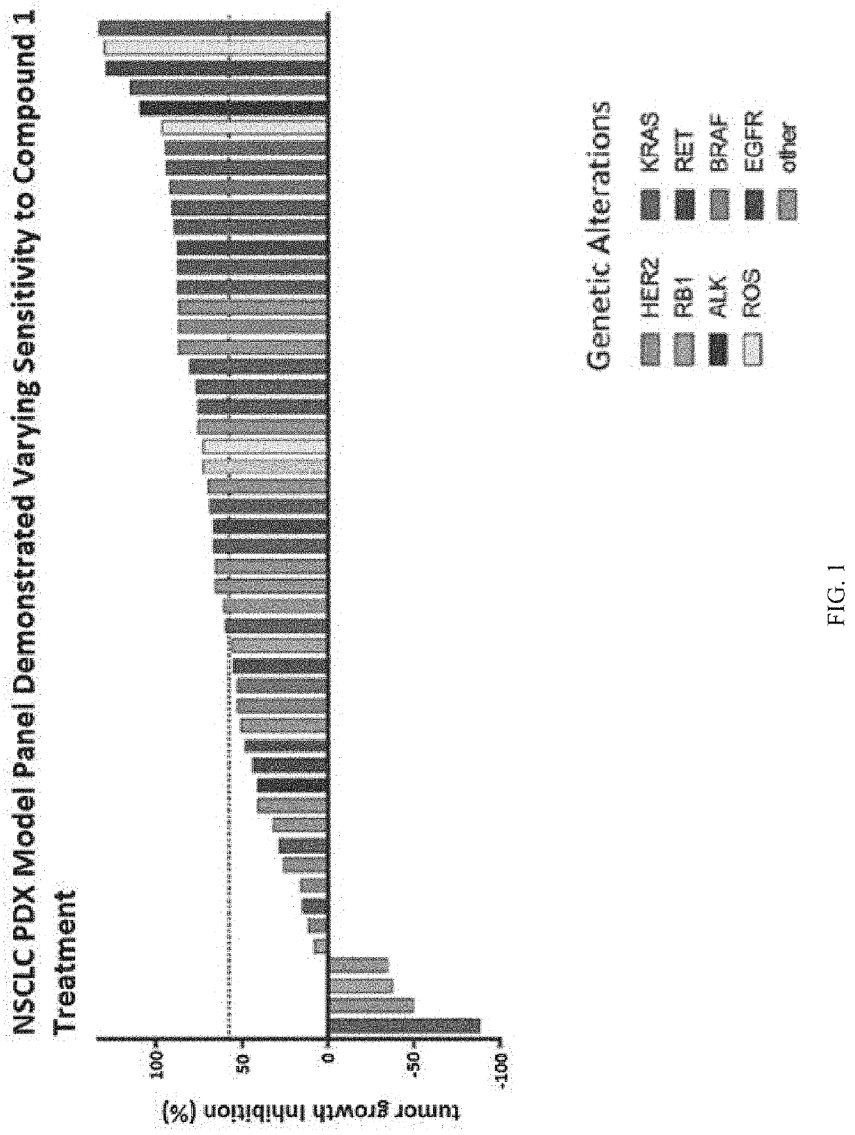 Treatment of cancers having driving oncogenic mutations