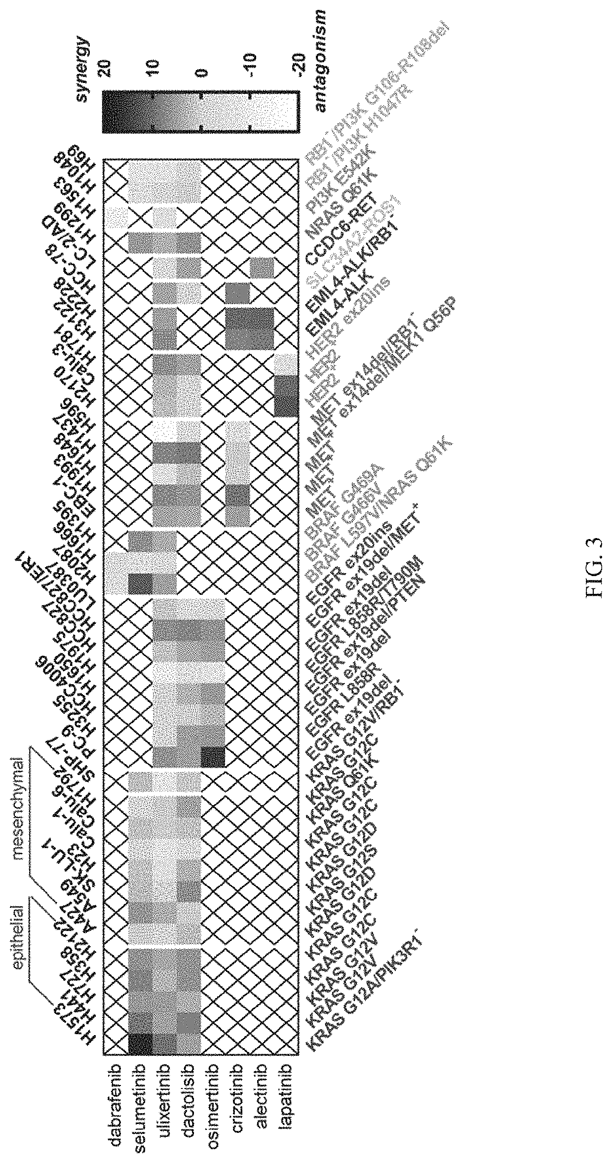 Treatment of cancers having driving oncogenic mutations