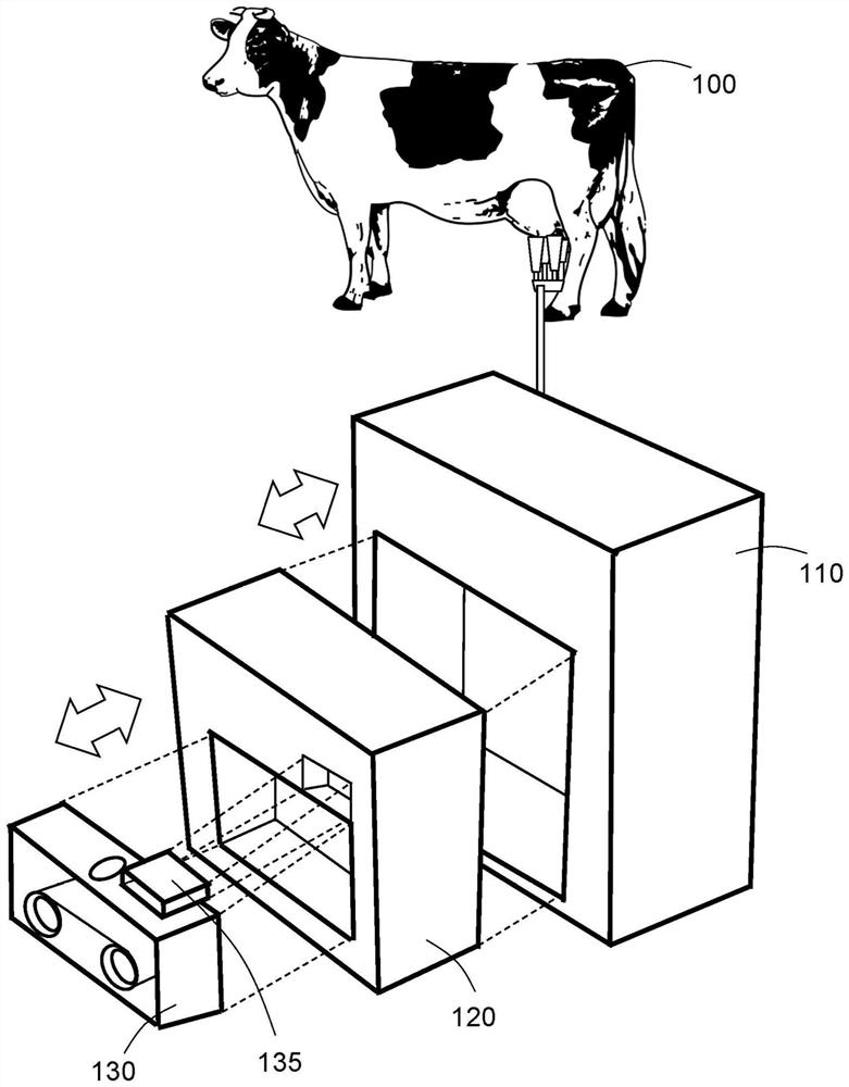 System for determining validity of lateral flow test result