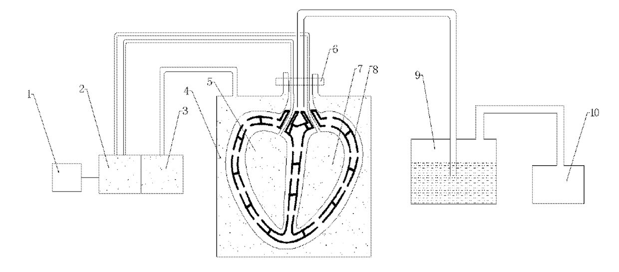 Full-function artificial organ fitting body as well as preparation and culture methods thereof