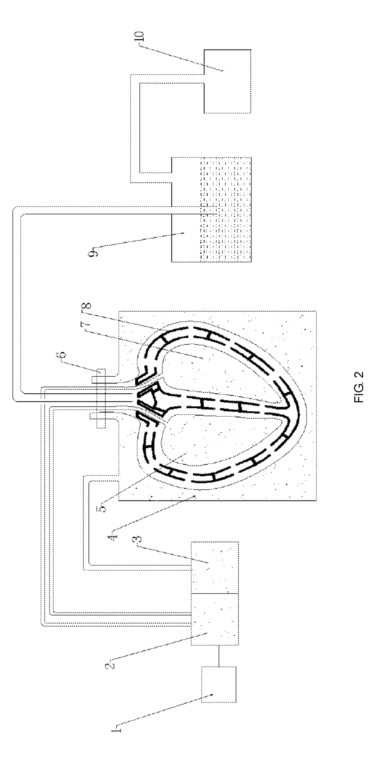 Full-function artificial organ fitting body as well as preparation and culture methods thereof