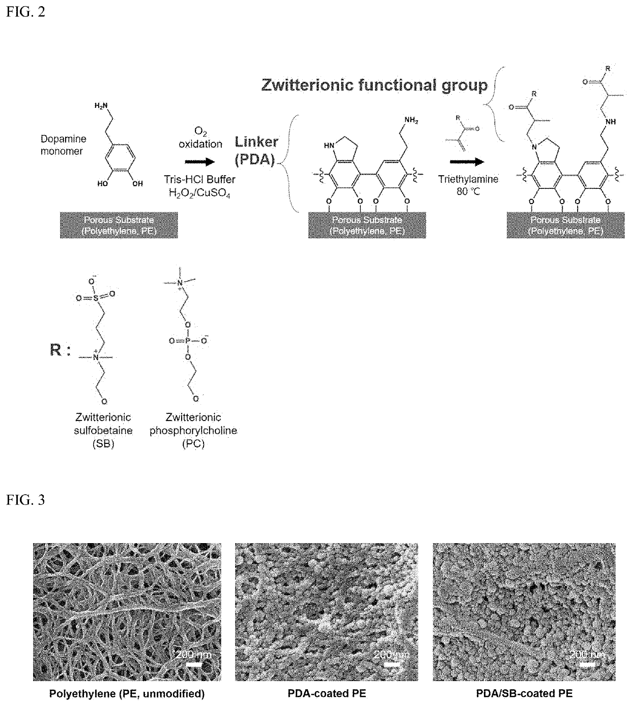 Functionalized separator having zwitterionic coating and method of fabricating thereof