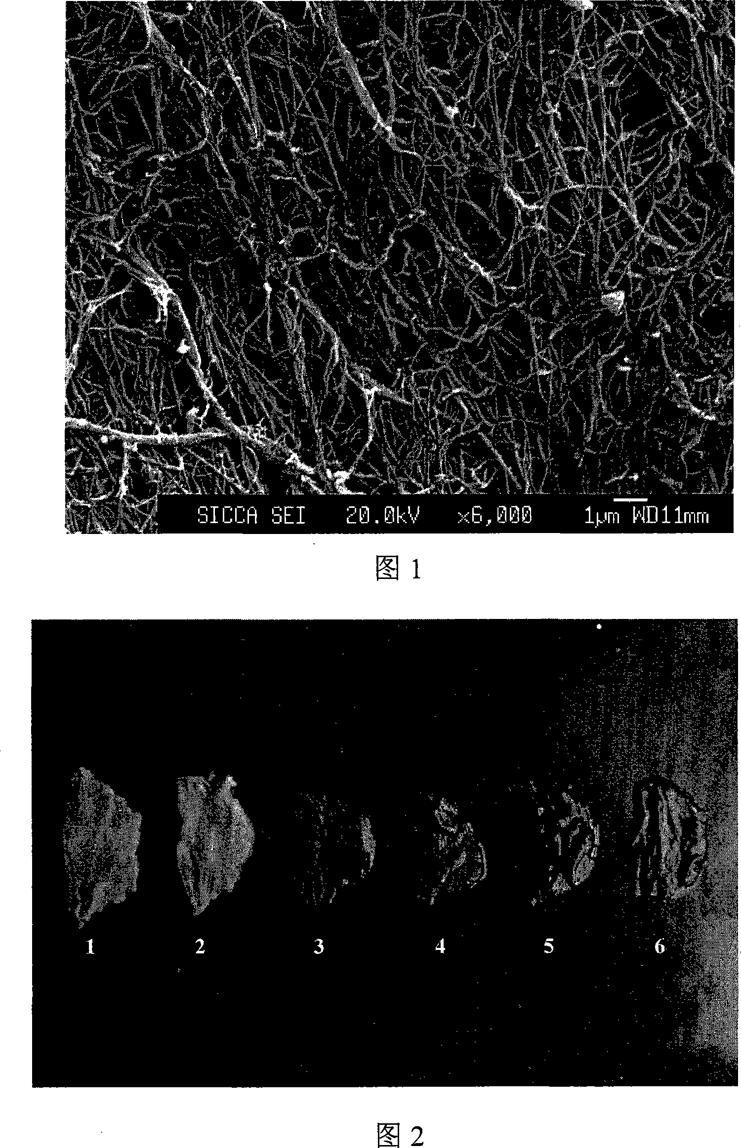 Quercetin crosslinking method for preparing artificial bioprosthesis heart valve materials