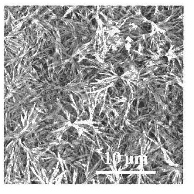 Preparation method of barium carbonate powder