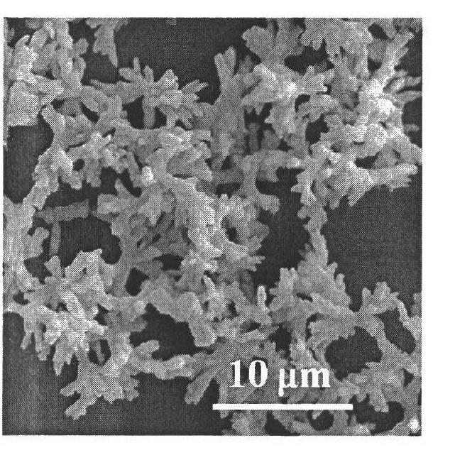 Preparation method of barium carbonate powder