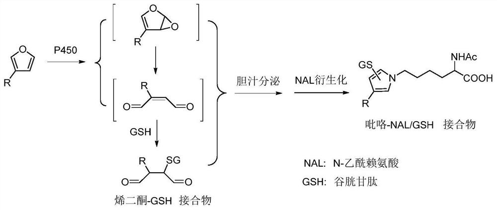 An improved low-toxic Zengsheng pharmaceutical composition and its preparation method and application