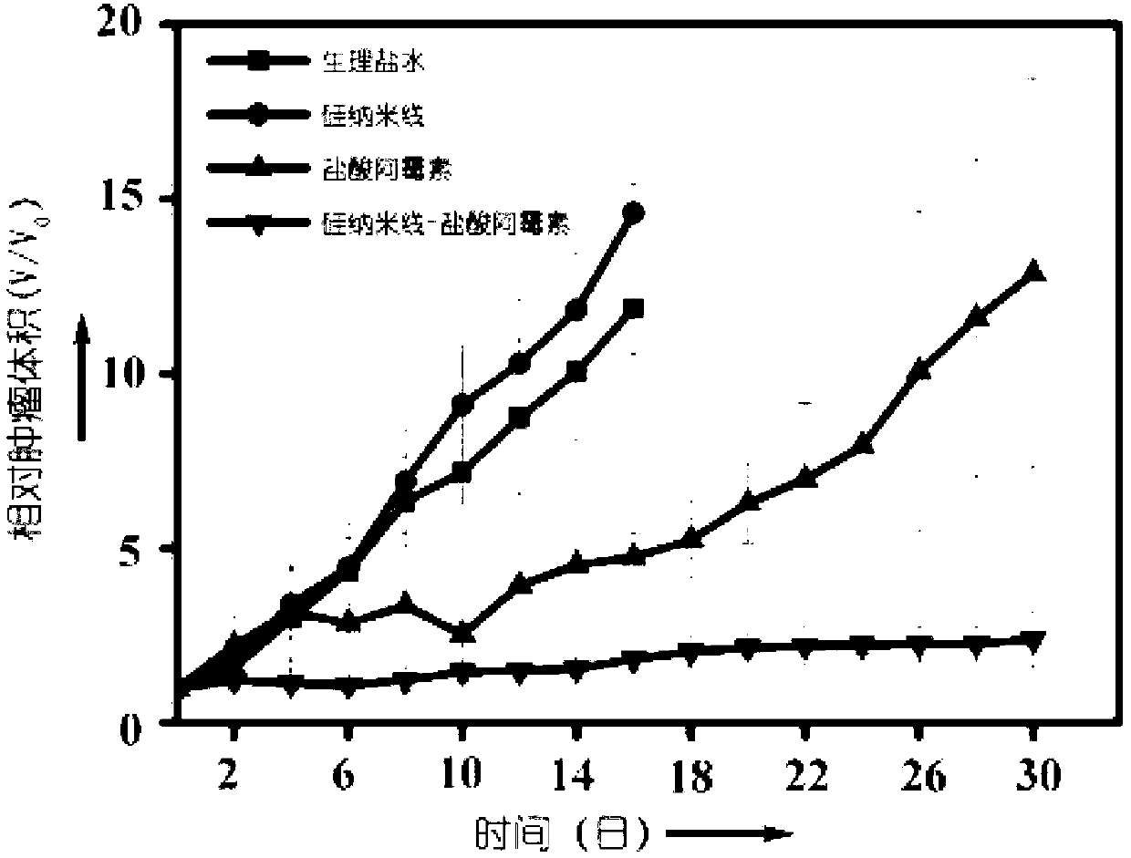 Preparation method of silicon-nanowire-based medicinal carrier