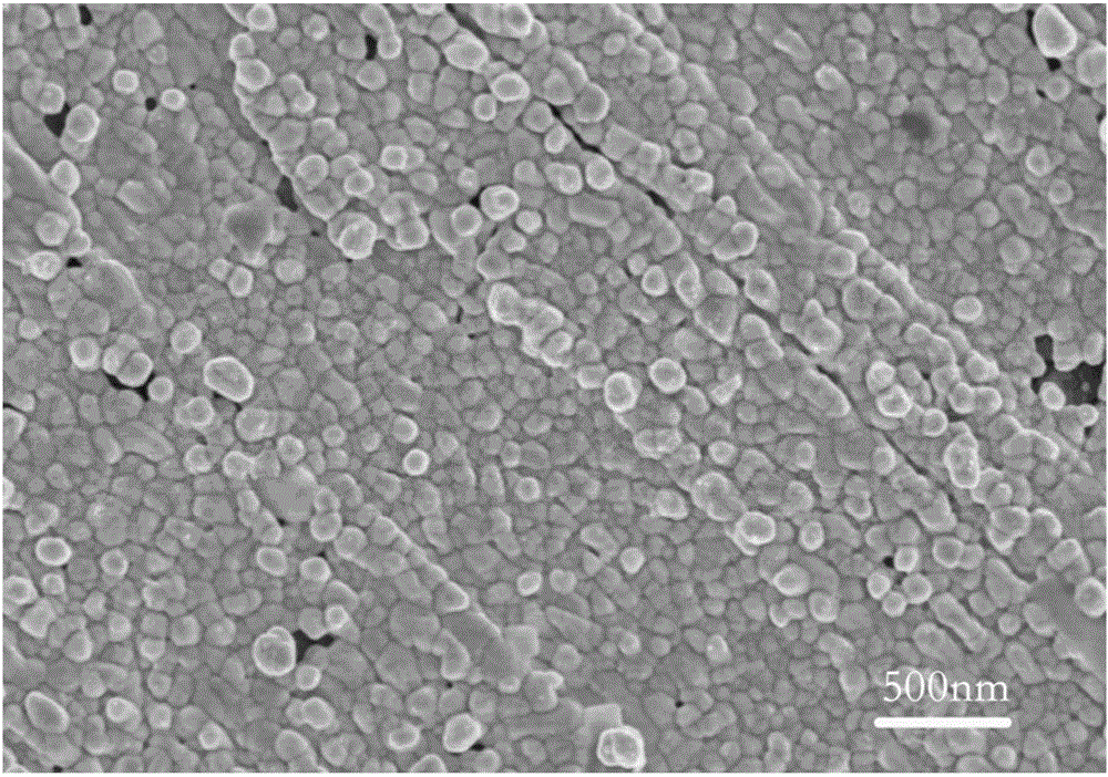 Microcystic toxin-LR electrochemical detection method with amplified graphene signals