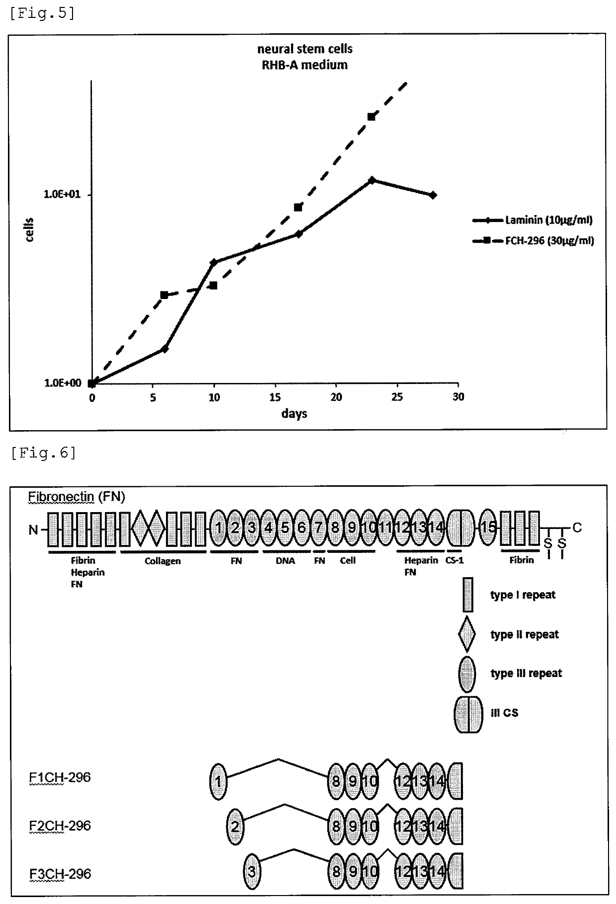 Fibronectin fragment to be used for stem cell production