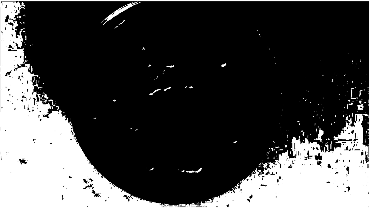 Edible grape spirit saccharomyces cerevisiae and application thereof