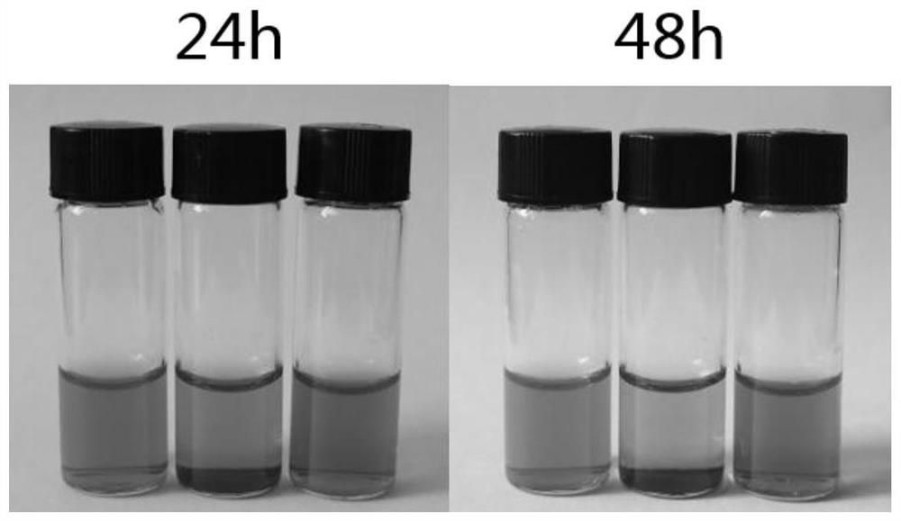 Preparation method and application of layered WS2/Au tumor cell membrane composite material