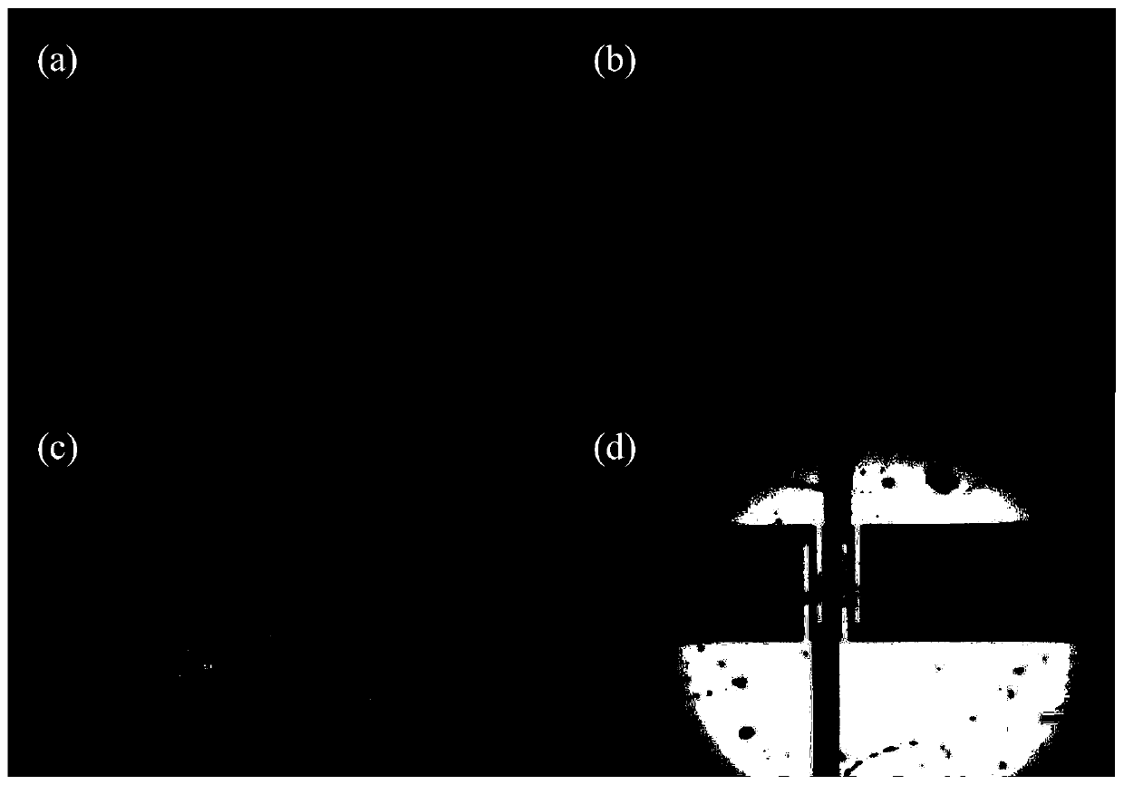 Method for preparing two-dimensional transition metal sulfide through directional transfer CVD method