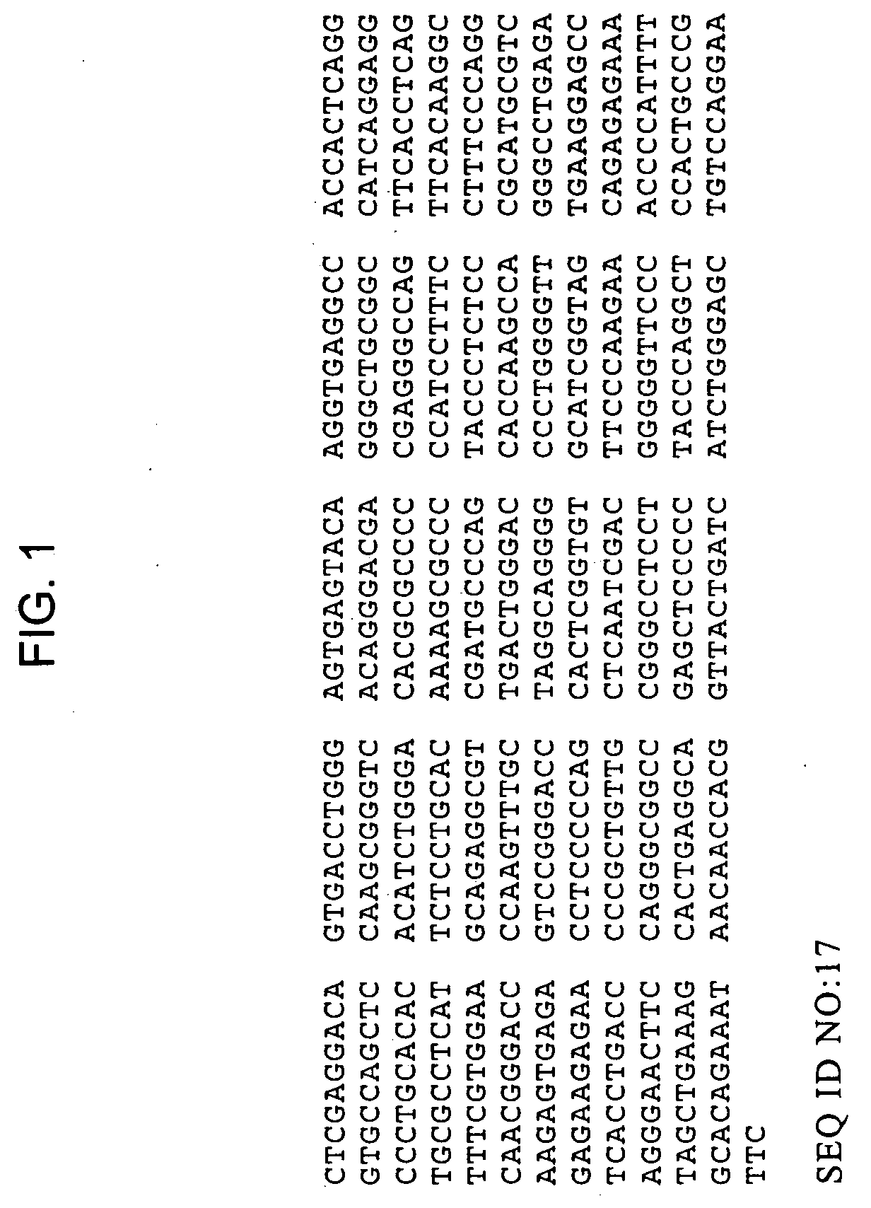 Methods of identifying compounds that modulate IL-4 receptor mediated IgE synthesis utilizing a CLLD8 protein