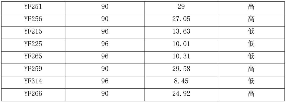 InDel molecular marker related to barley beer turbid character and application thereof